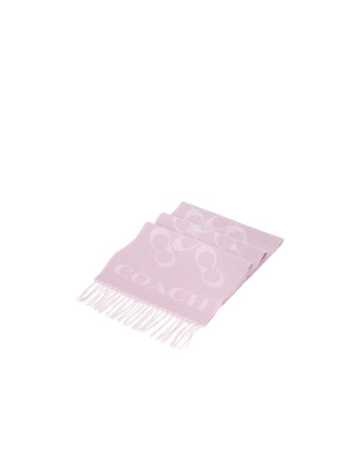COACH Pink Fringed Scarf