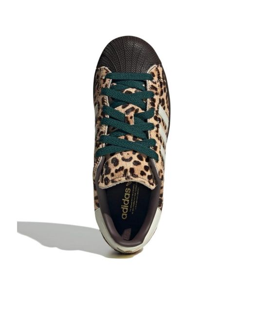 Adidas Originals Brown Leopard Lace Up Sneakers