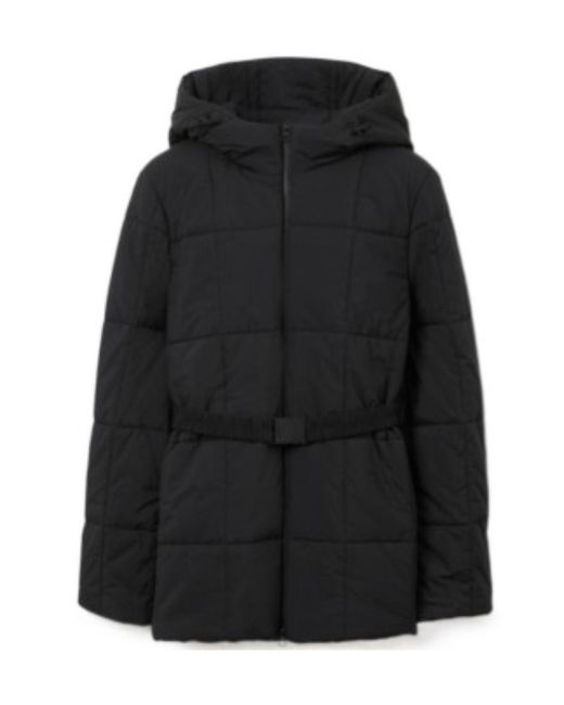 Burberry Black Long-Sleeved Hooded Padded Jacket