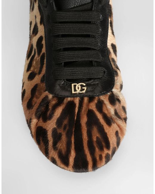 Dolce & Gabbana Brown Leopard Printed Sneakers
