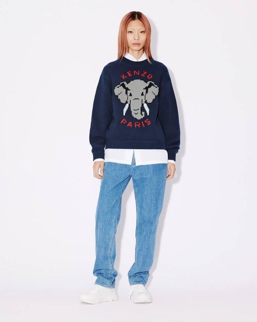 KENZO Blue Elephant' Wool Jumper