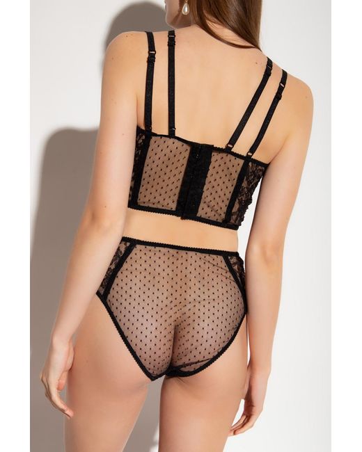 Dolce & Gabbana Black Point D'Esprit-Tulle Briefs