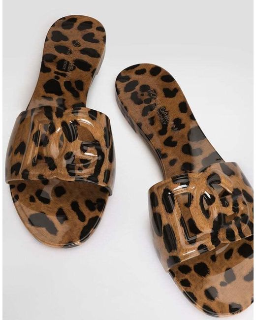 Dolce & Gabbana Brown Leopard Printed Slides