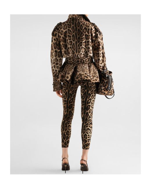 Dolce & Gabbana Brown Leopard Printed Trench Coat