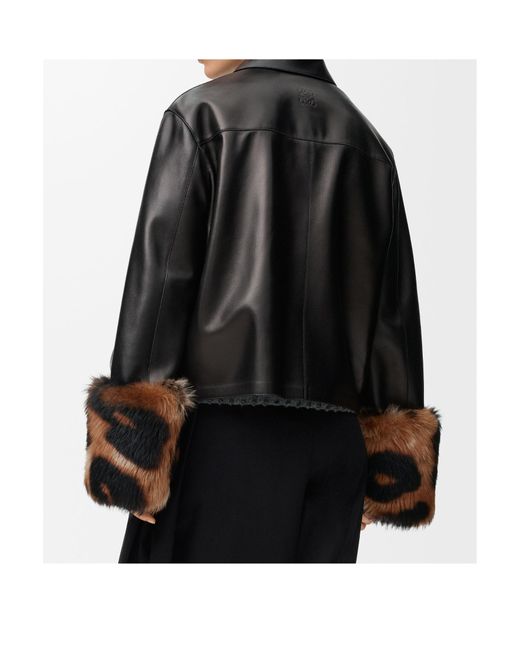 Loewe Black Leopard-Print Shearling-Trimmed Glossed-Leather Jacket
