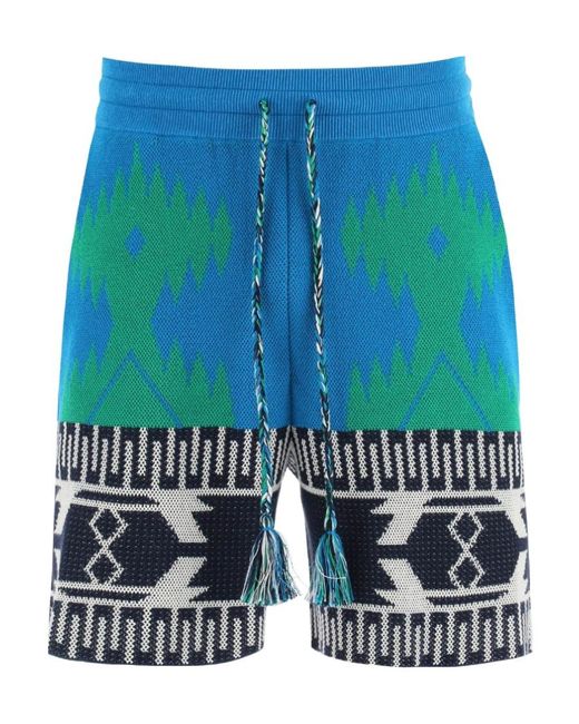 Alanui Blue Intarsia Motif Drawstring Shorts for men