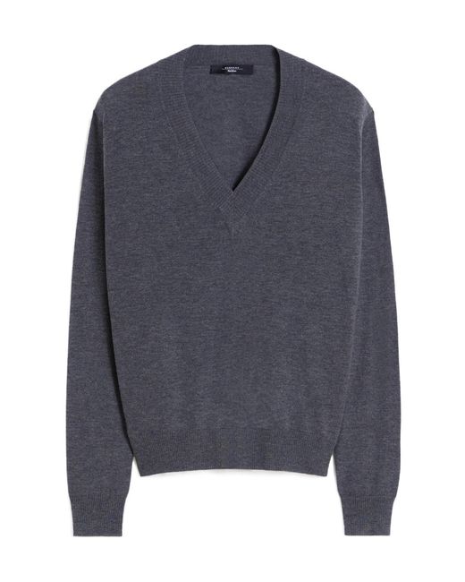 Weekend by Maxmara Blue Long-Sleeved Sweater