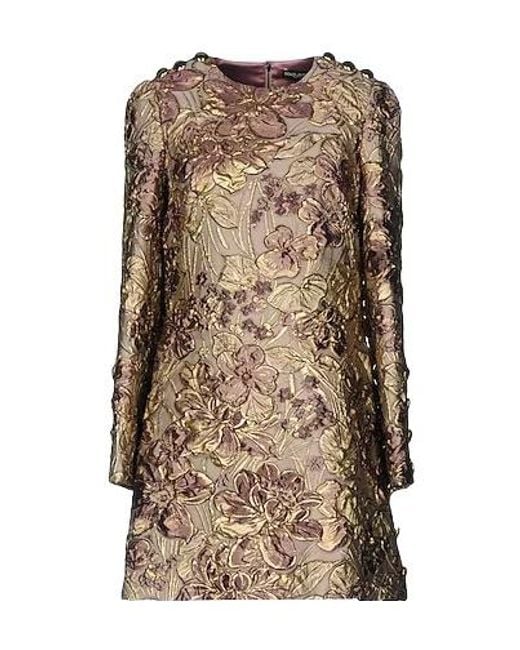 Dolce & Gabbana Brown Floral Print Dress