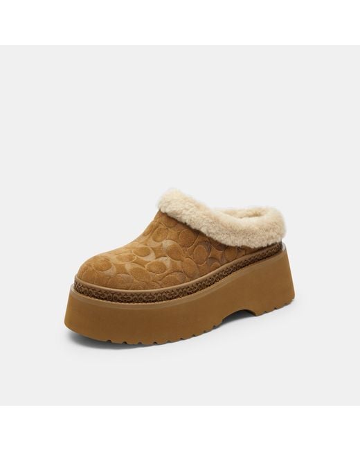 COACH Brown Cecelia Platform Mules