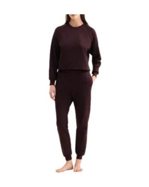 Eres Purple Celine Trousers