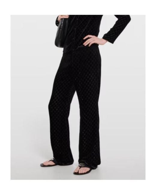 Gucci Black Gg Stretch Velvet Devoré Pants for men