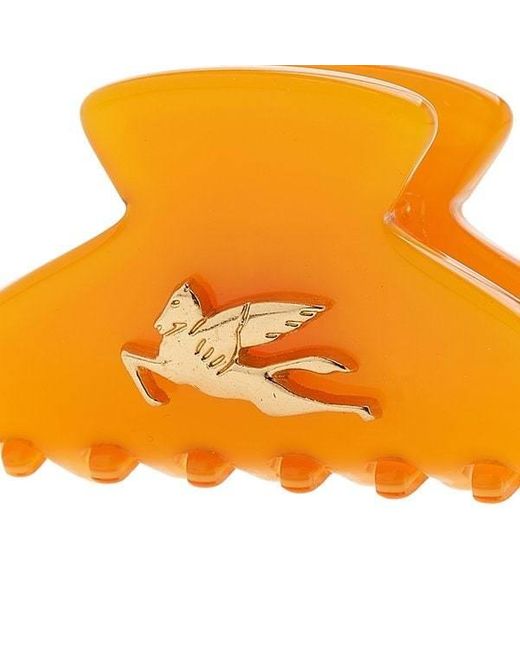 Etro Orange Logo Hairpin