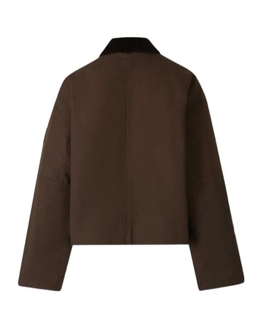 Canada Goose Brown Beaumont Jacket