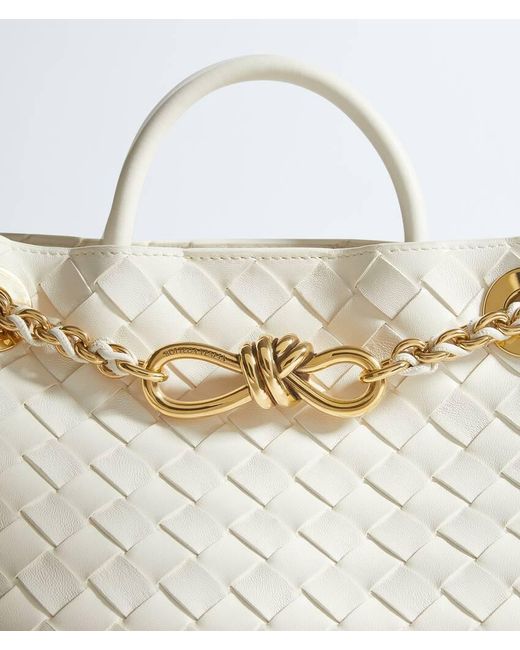 Bottega Veneta Gray Small Andiamo Chain