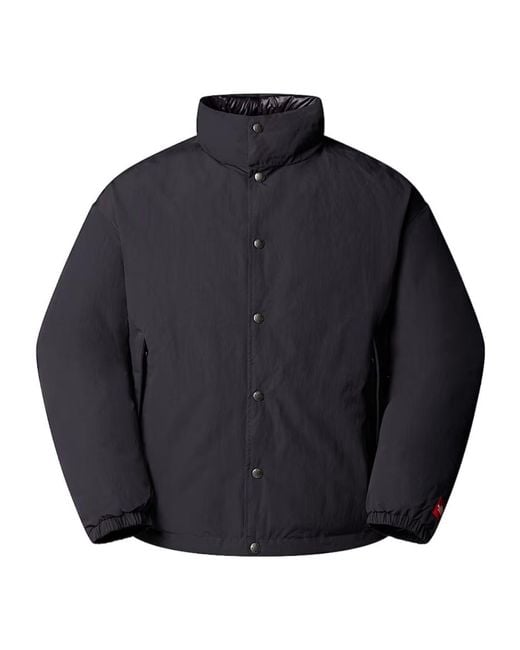 The North Face Blue Tnf Box Series Down Jackets for men
