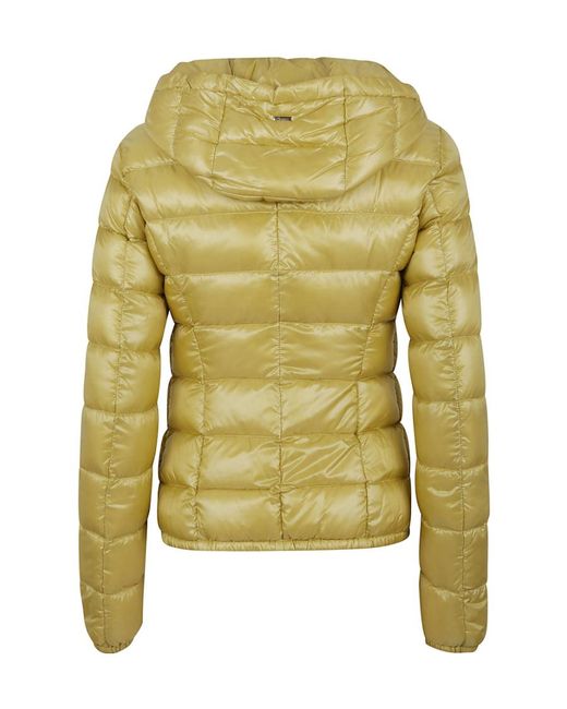 Herno Green Zipped Padded Jacket