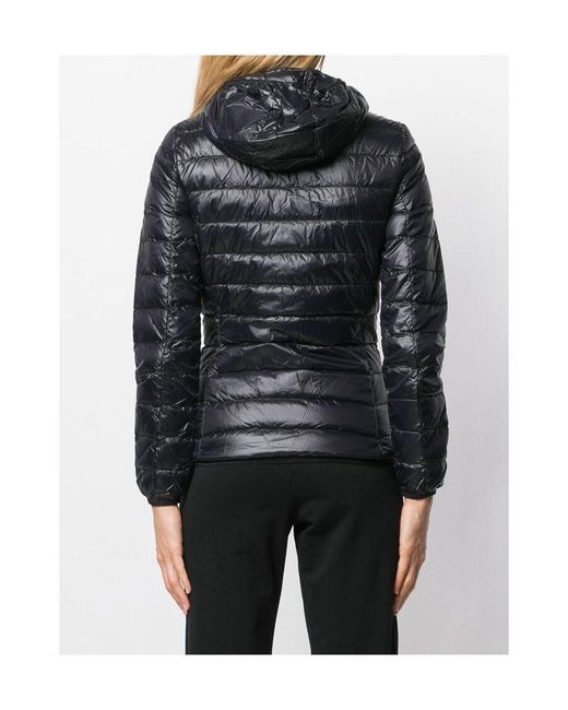 EA7 Black Hooded Down Jacket
