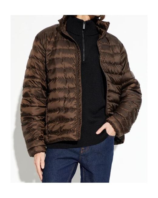 Canada Goose Brown Stand-Collar Down Jacket for men