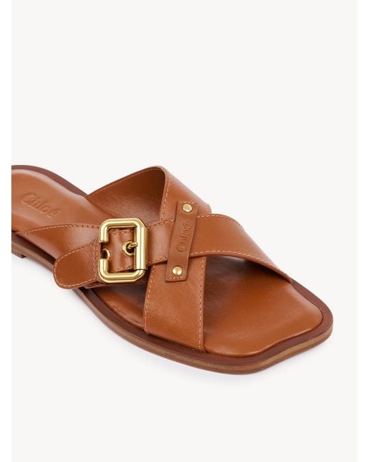 Chloé Brown Nil Slide