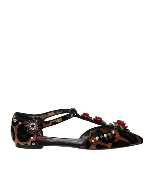 Dolce & Gabbana Brown Floral Ballet Shoes