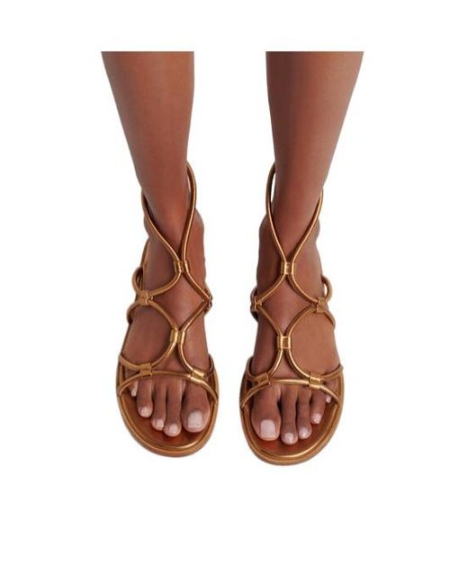 Gianvito Rossi Brown Solid Color Leather Sandals