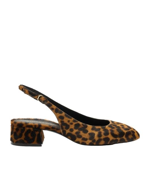 Stuart Weitzman Brown Maeve Slingback
