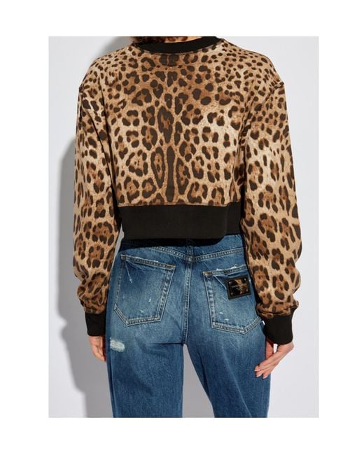 Dolce & Gabbana Black Leopard Printed Sweatshirt