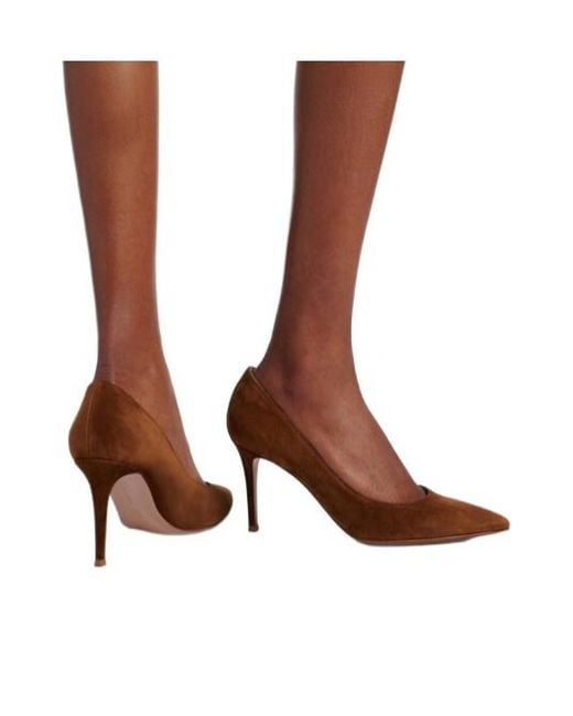Gianvito Rossi Brown Solid Color Suede Pumps