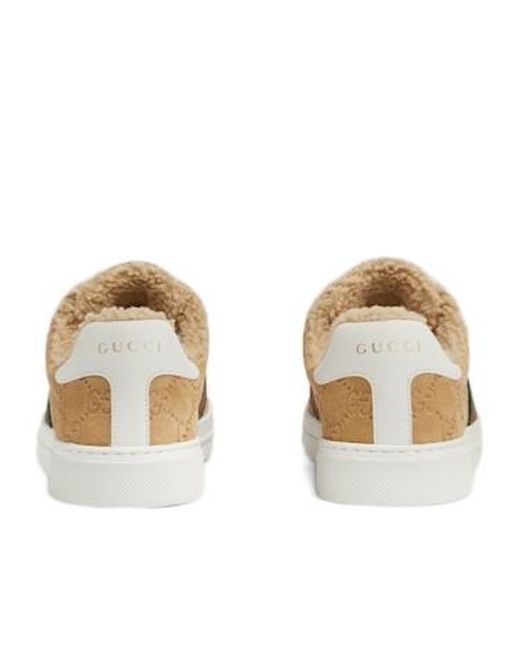 Gucci Multicolor Web Detailed Low-Top Sneakers