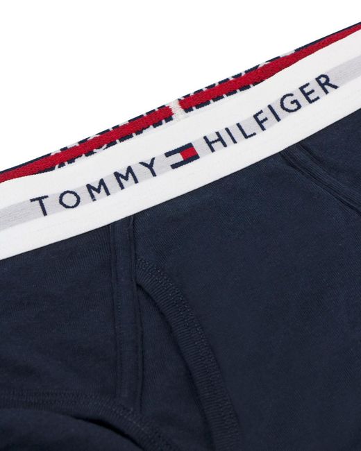 Tommy Hilfiger Blue Logo Underwear for men