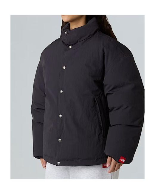 The North Face Blue Tnf Box Series Down Jackets for men