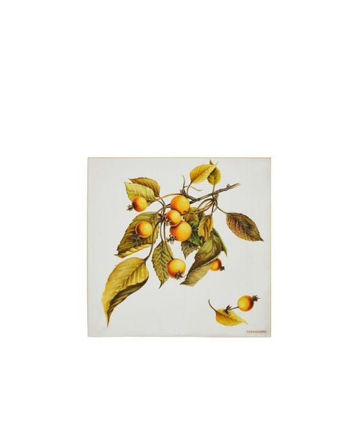 Ferragamo White Printed Silk Scarf