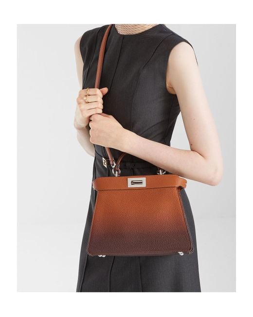 Fendi Brown Peekaboo Iseeu Small Tote Bag