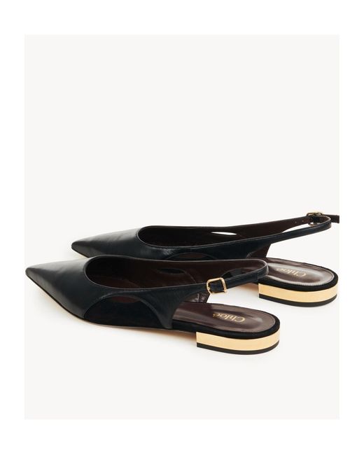 Chloé Multicolor Chloé Saada Slingback Flat Shoes