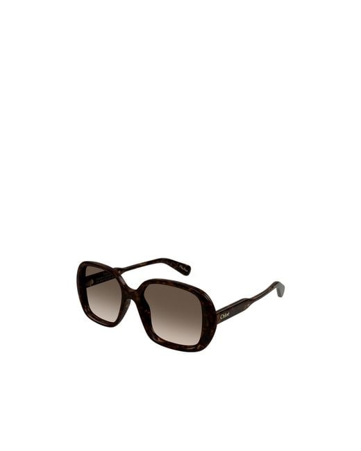 Chloé Black Chloé Eyewear Square-Frame Sunglasses