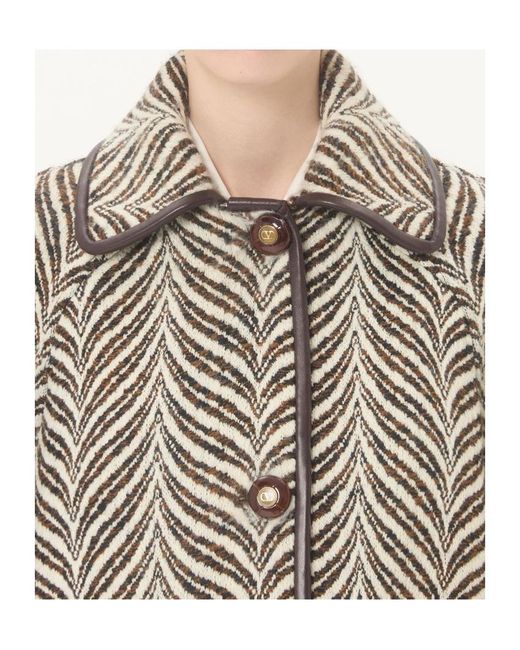Valentino Gray Fauve Éclat Animalier Peacoat
