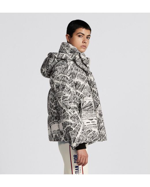 Dior Gray Alps Hooded Down Jacket