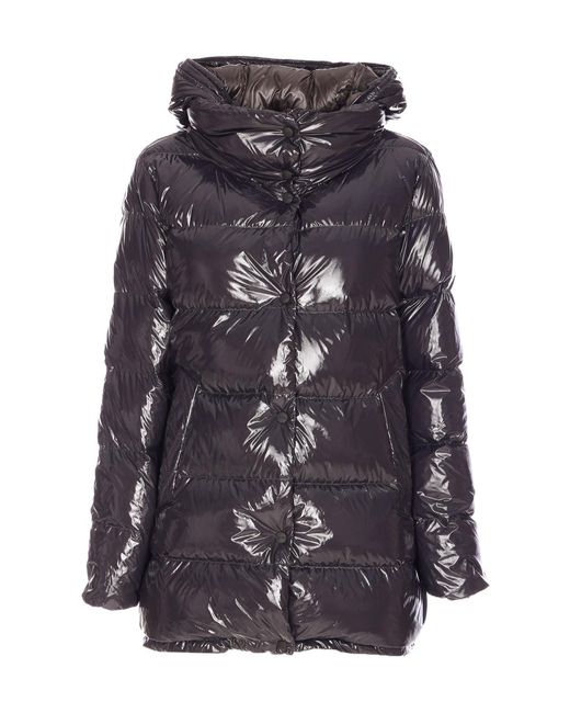 Herno Purple Stylish Jacket