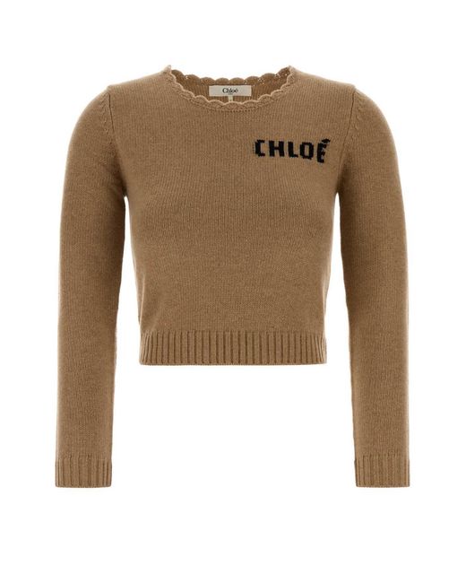 Chloé Multicolor Chloé Logo Detailed Cropped Sweater