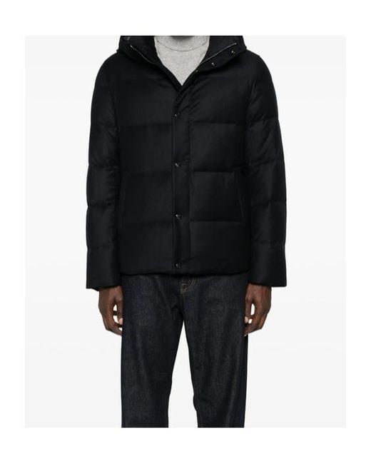 Montecore Black Hooded Padded Jacket for men