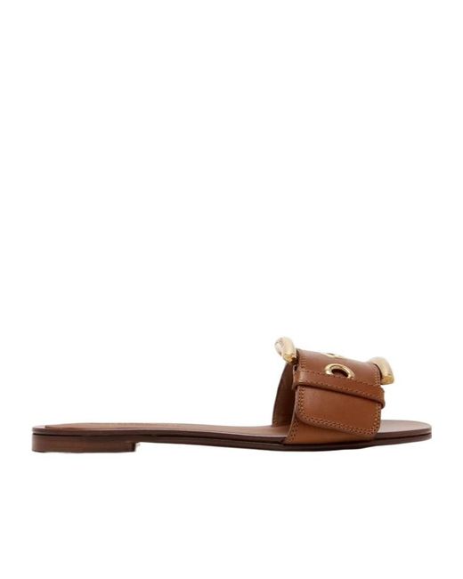 Dolce & Gabbana Brown Buckle Strap Flat Sandals