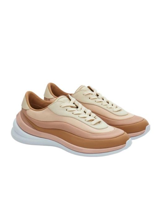 Ferragamo Brown Sneaker