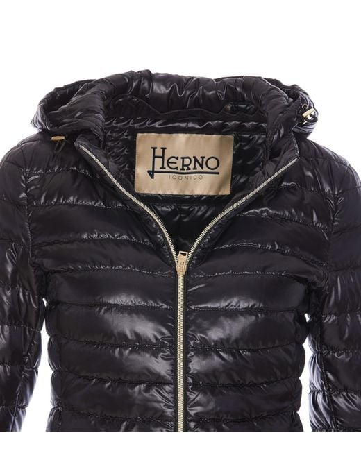 Herno Black Zip-Up Hooded Down Jacket