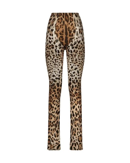 Dolce & Gabbana Metallic Kim Dolce&Gabbana Leopard Print Trousers