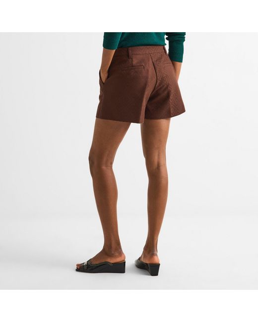 Casablanca Brown Belt Loop Shorts