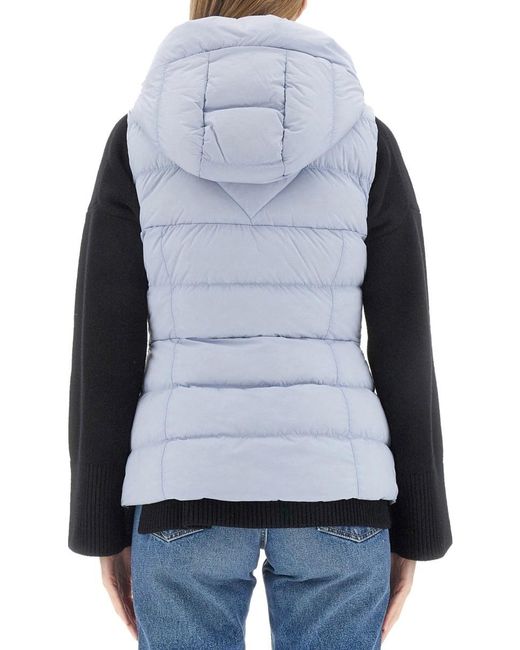 Canada Goose Blue Gilet
