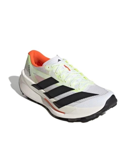 Adidas Originals Metallic Terrex Agravic Tt Running Shoes for men