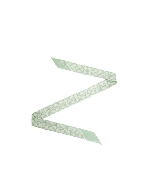 COACH Green Textured Print Narrow Scarf