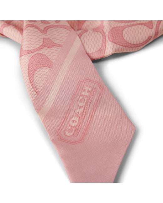 COACH Pink Printed Silk Scarf