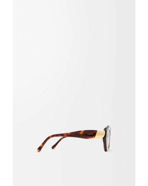 Loewe Brown Coil Cateye Sunglasses